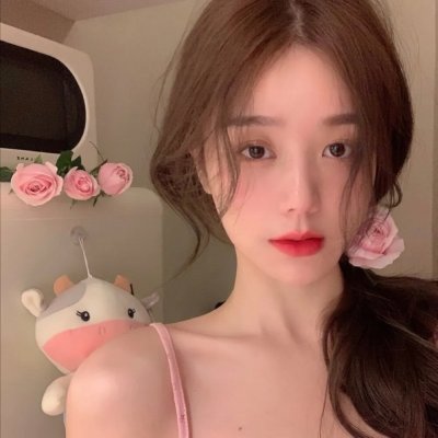 猫和老鼠在纽约